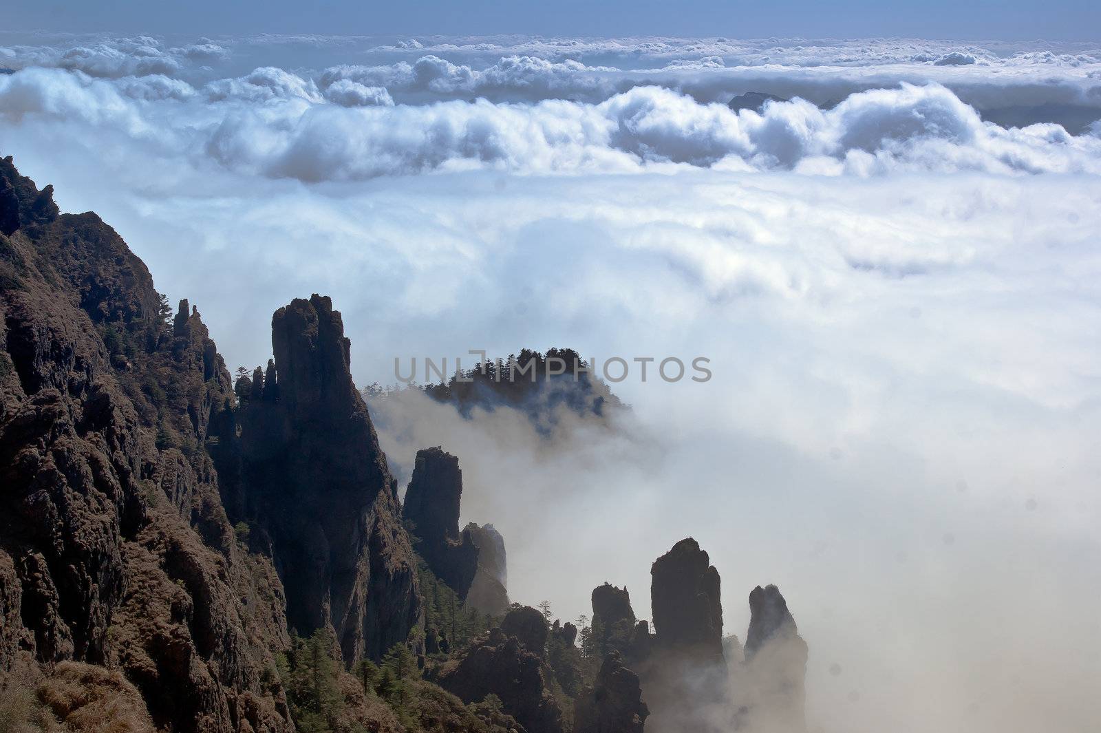 Shennongjia beauty - was taken in Hubei, China