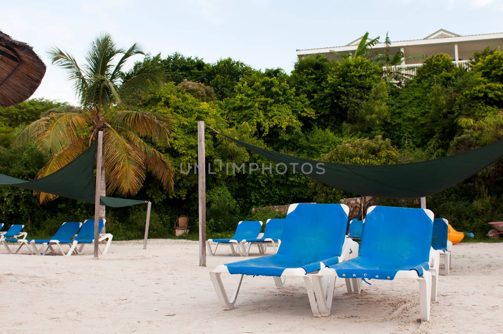 beach chairs on a tropical beach resort in Antigua (sunset picture)