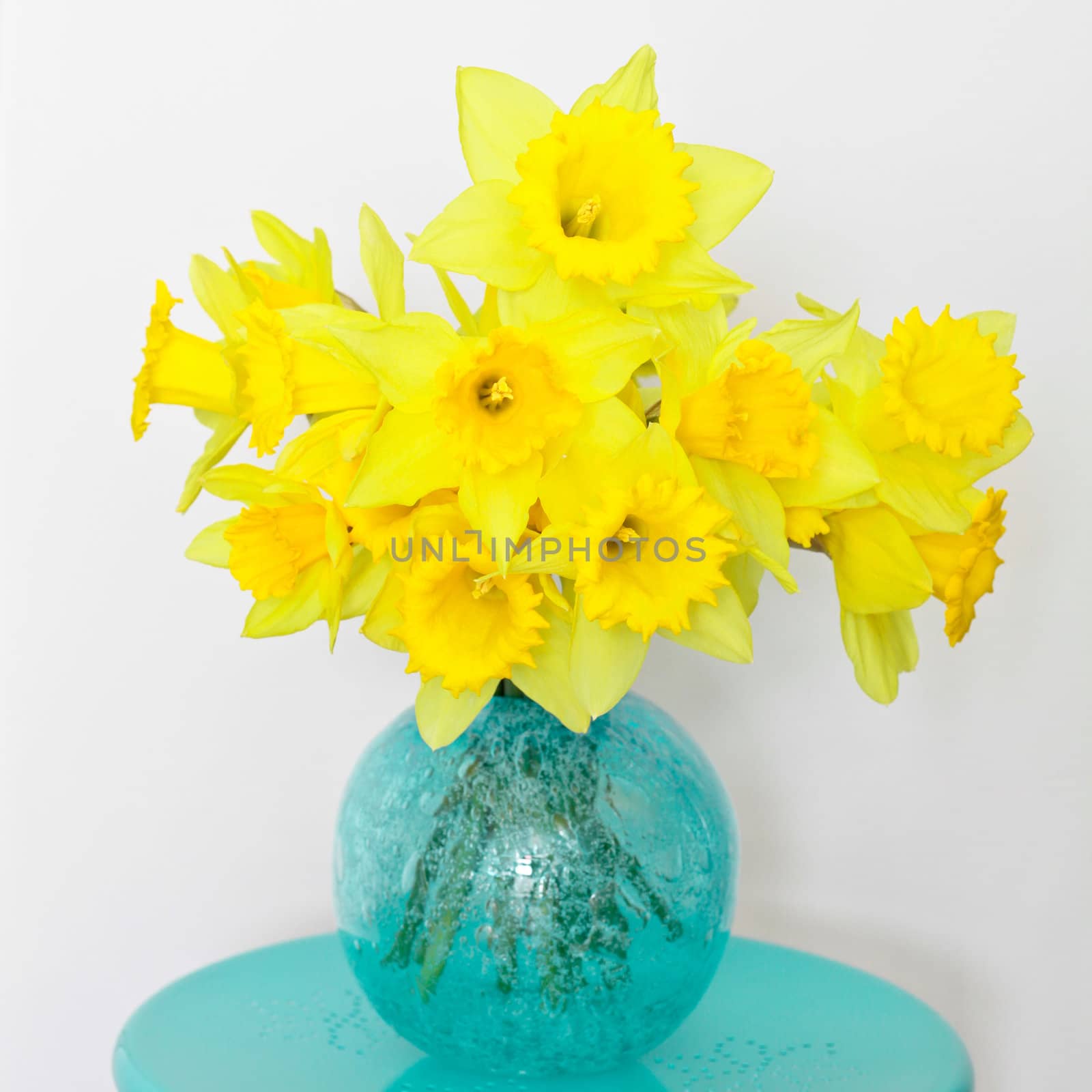 Beautiful bunch of fresh spring daffoldils in a glass vase