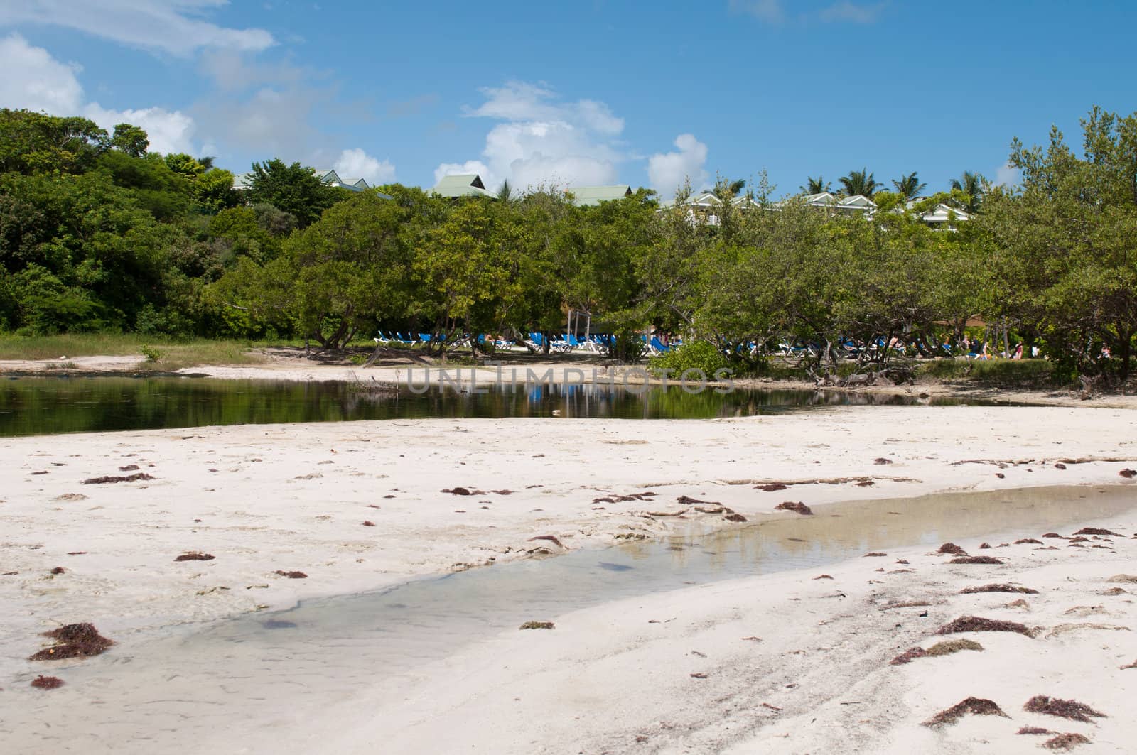 tropical green lake next to a sandy beach, Antigua