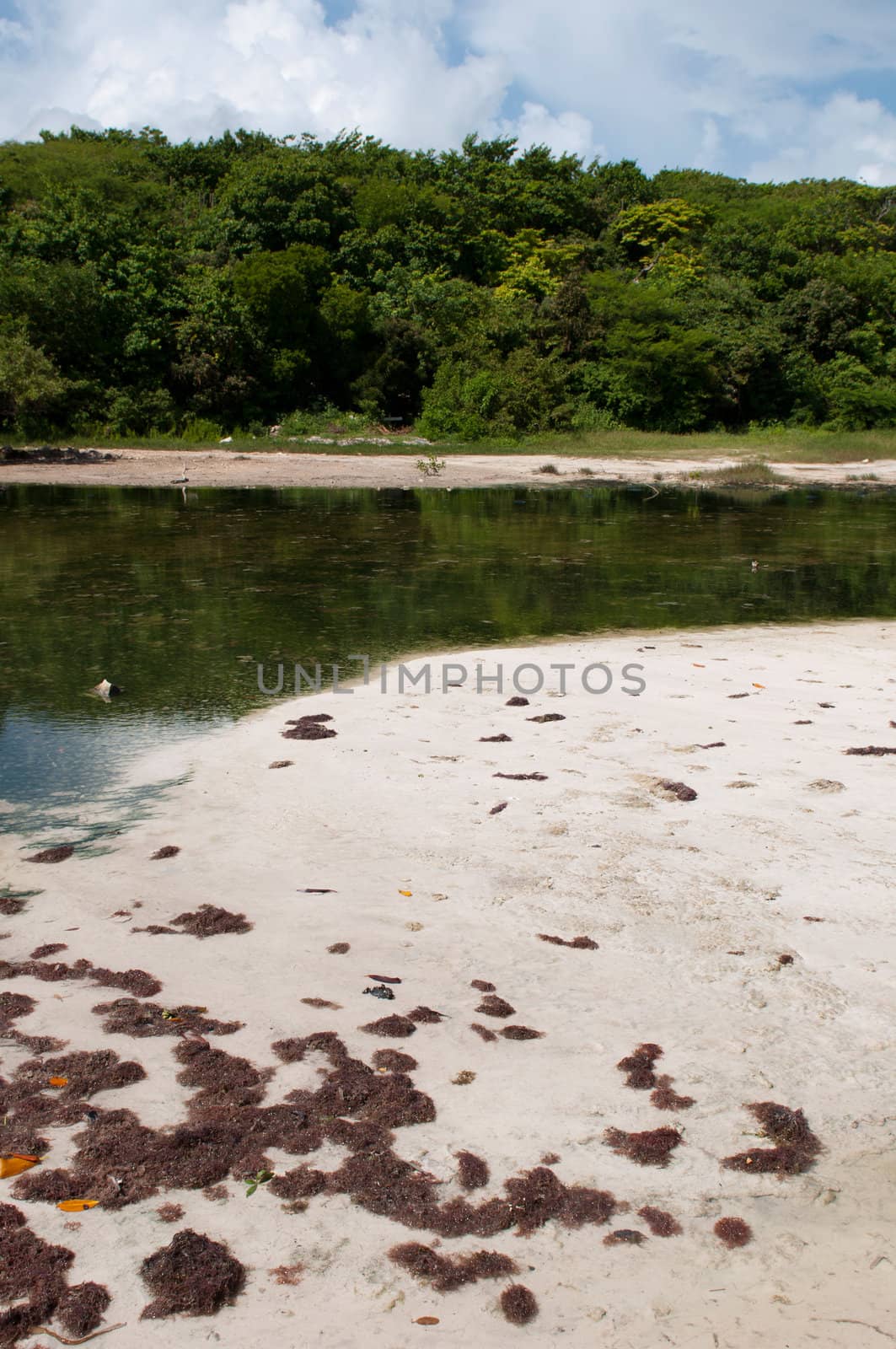 Tropical lake by luissantos84