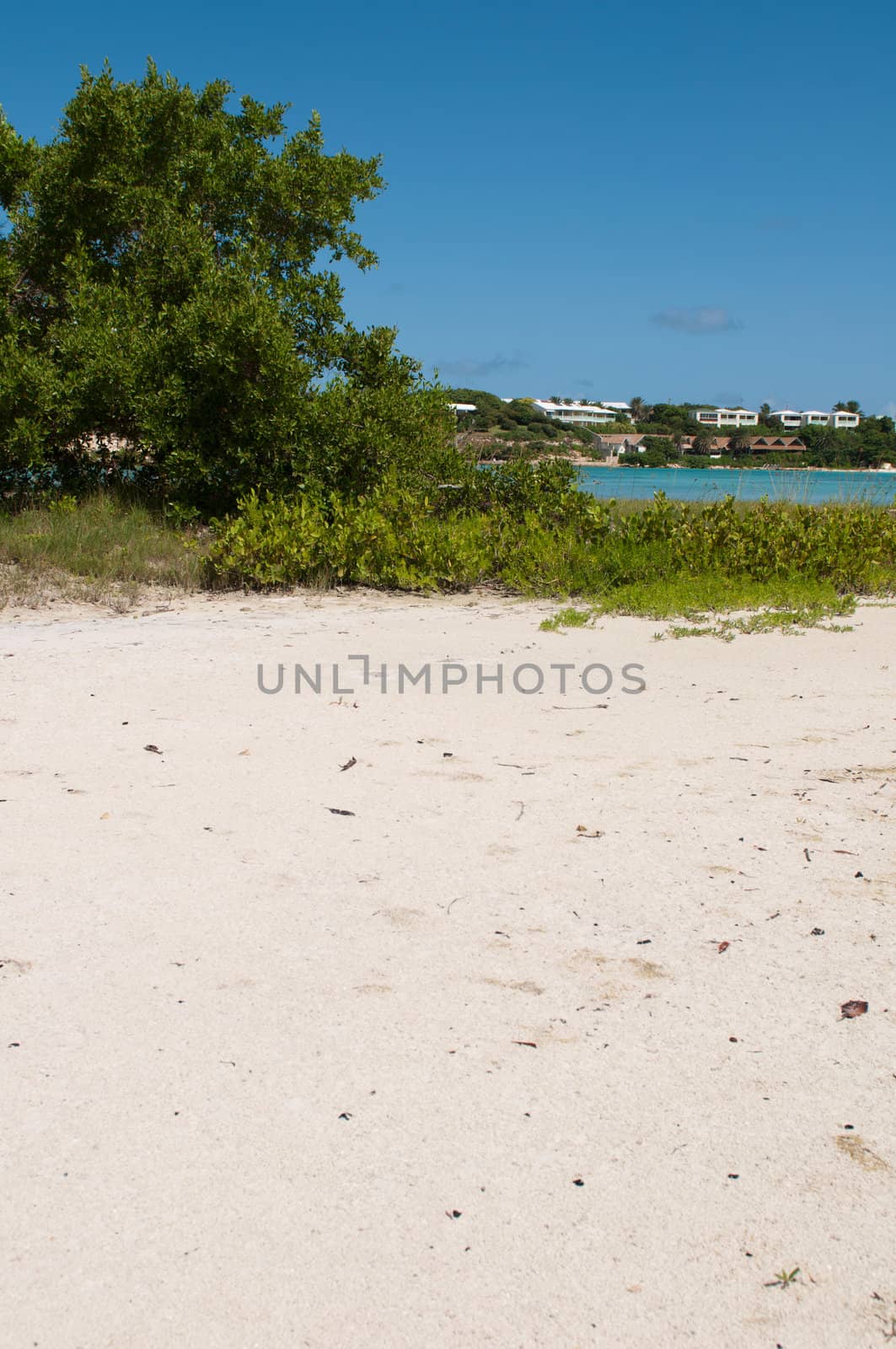 white sandy beach at Long Bay surrounded by tropical nature, Antigua