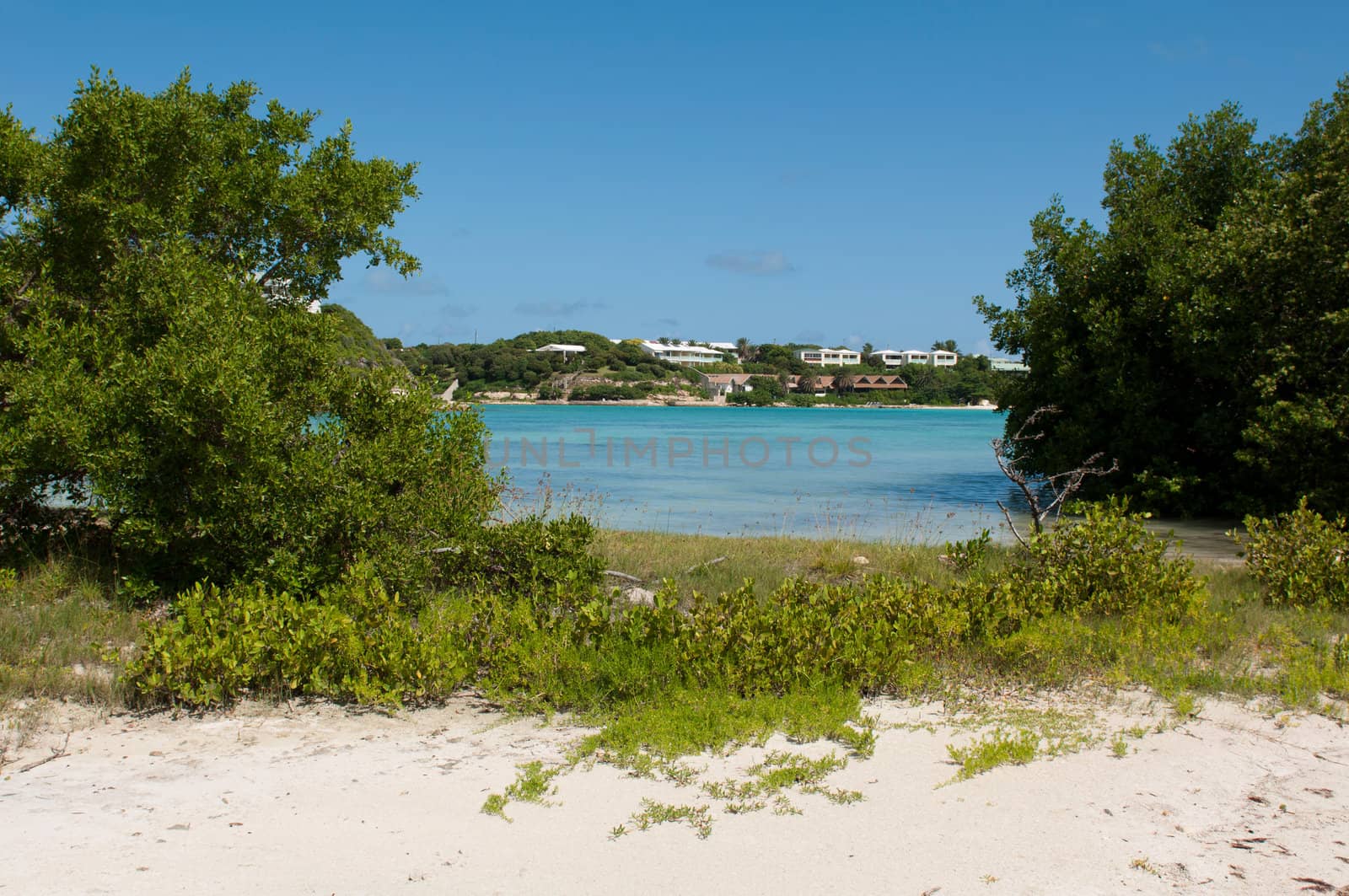 white sandy beach at Long Bay surrounded by tropical nature, Antigua