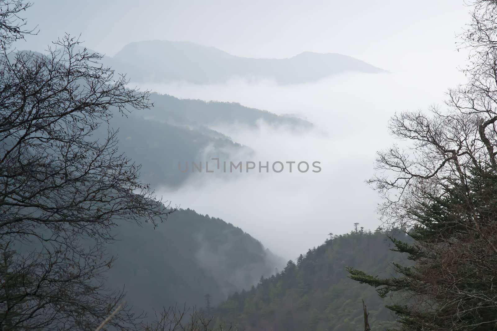 Shennongjia beauty - was taken in Hubei, China