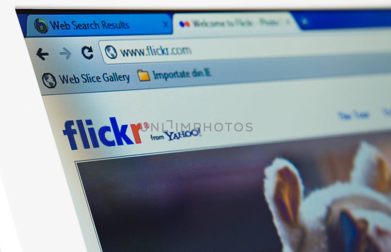 Flickr Lays Off Highest Level of Customer Support. Yahoo announced mass layoffs back in December of 2010. But today we got news of some significant layoffs at the photosharing service Galati, Romania - Jan 30: Flickr, via a former employee, engineer Nolan Caudill on January 30, 2012 in Galati, Romania