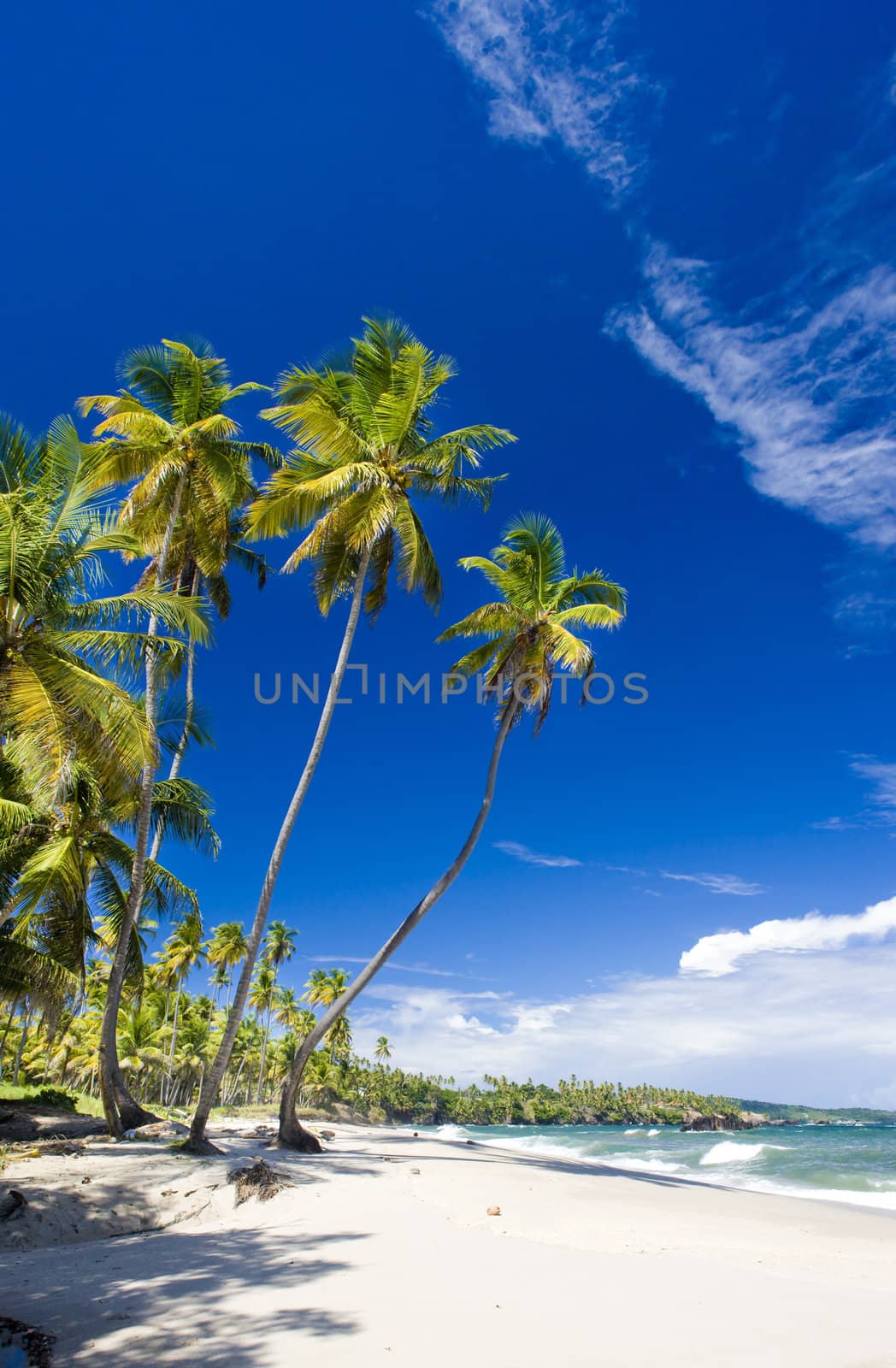 Cumana Bay, Trinidad
