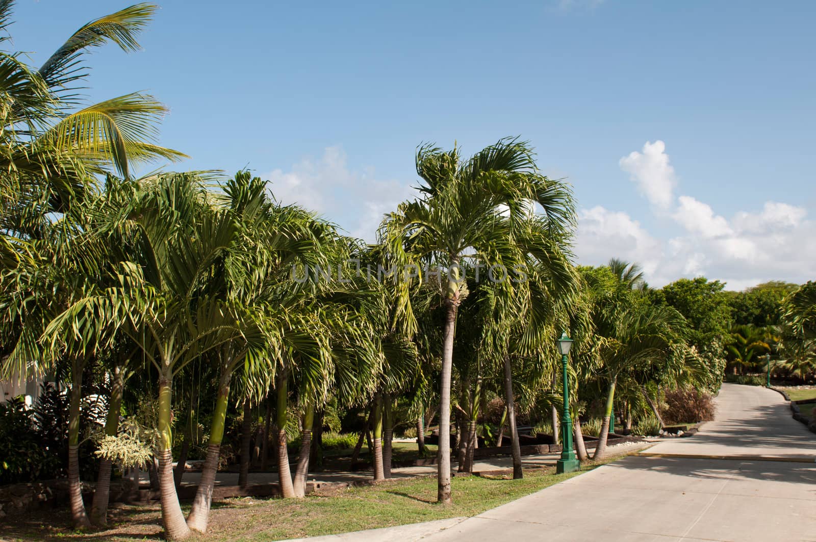 Resort pathway by luissantos84