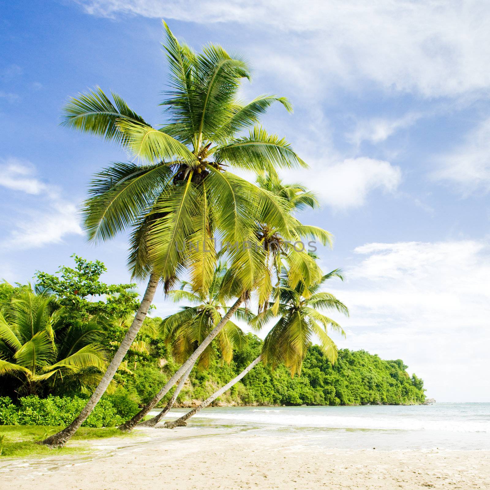 La Sagesse Bay, Grenada