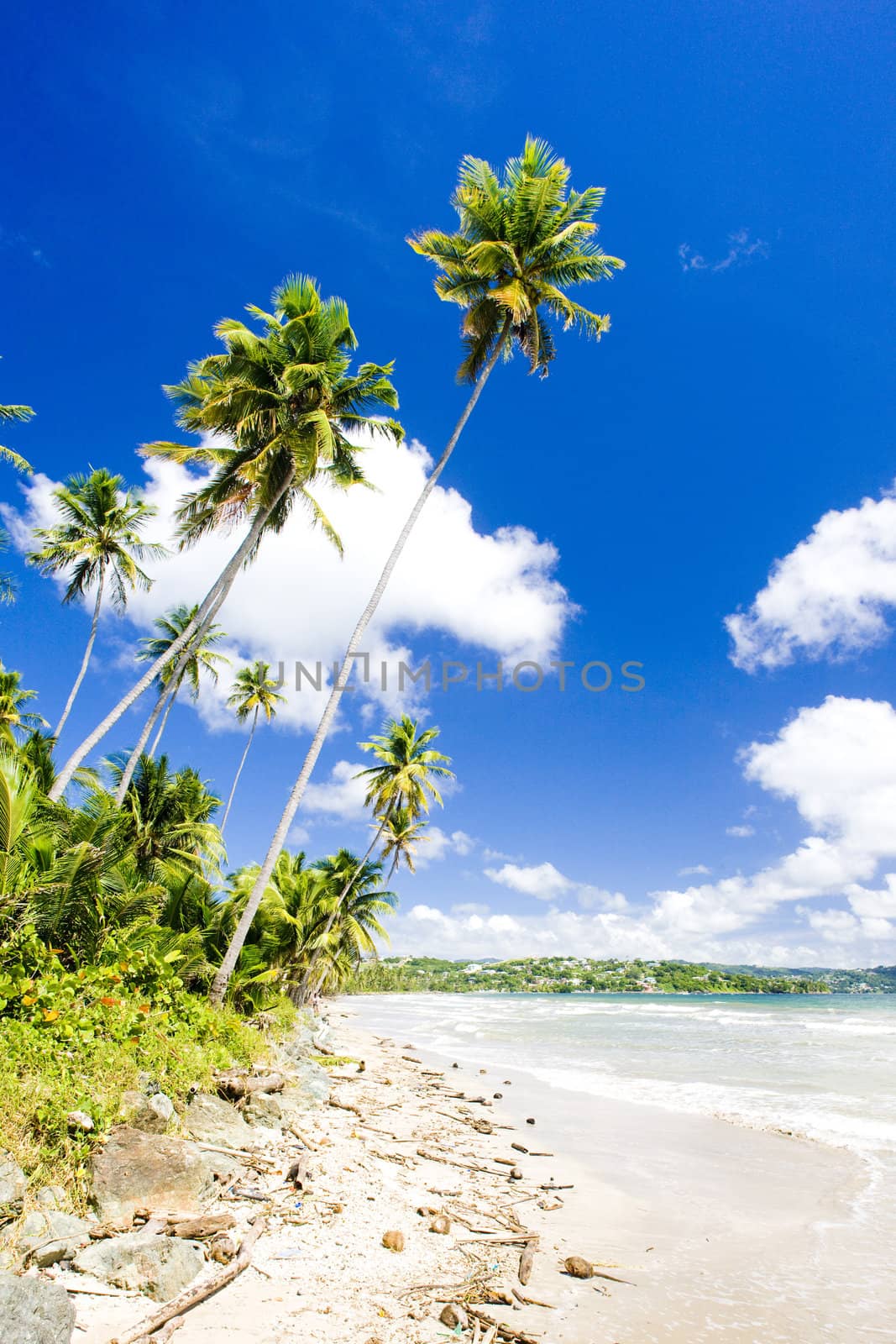 Rockly Bay, Tobago
