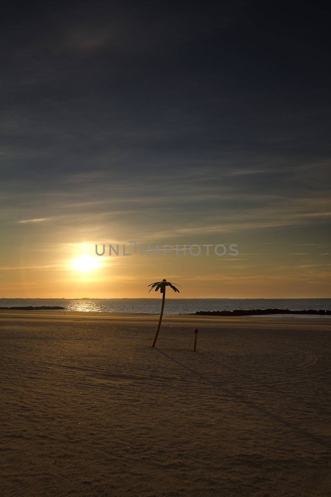 Sun rising over a decorative palm tree at Coney's Island beach