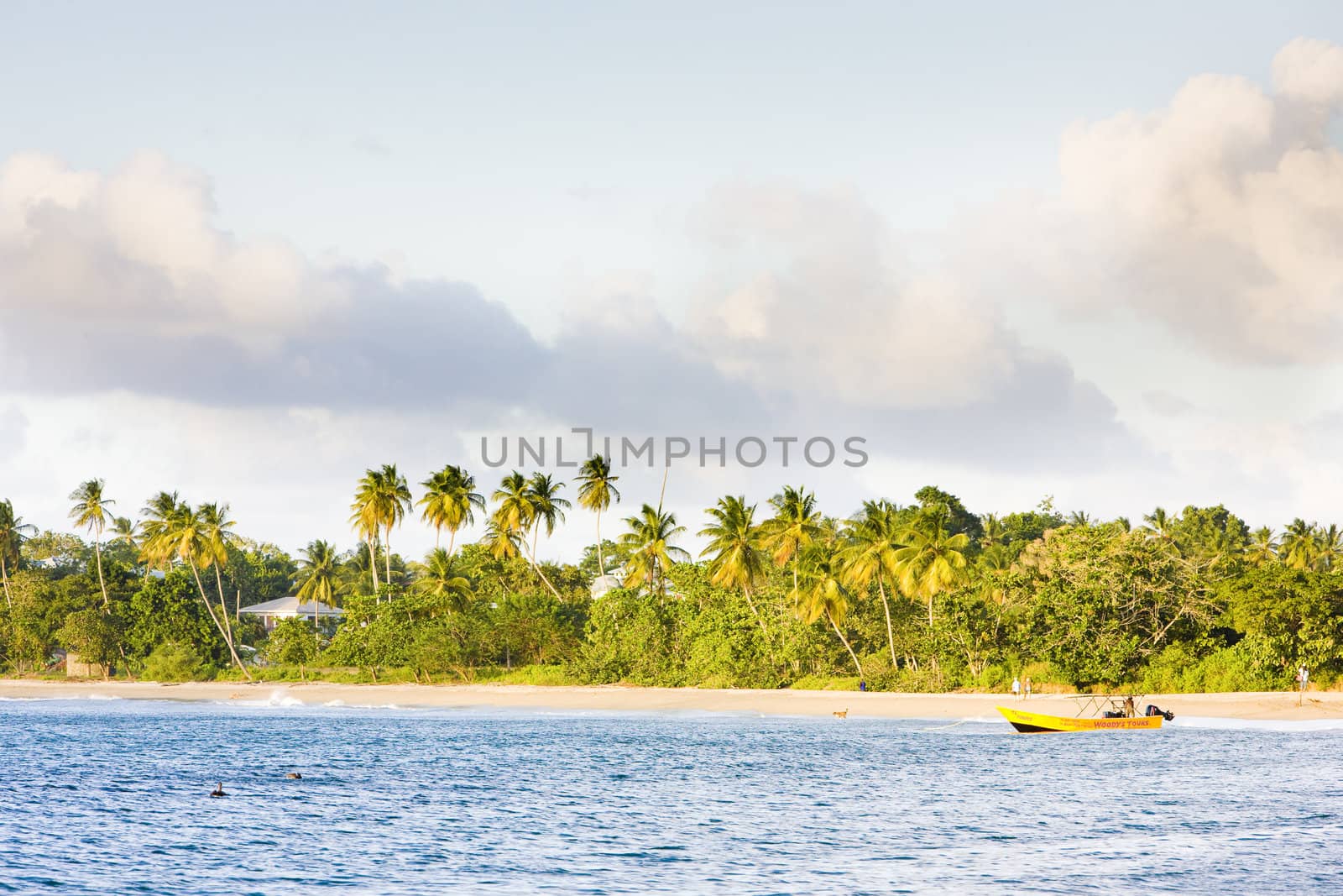 Turtle Beach, Tobago