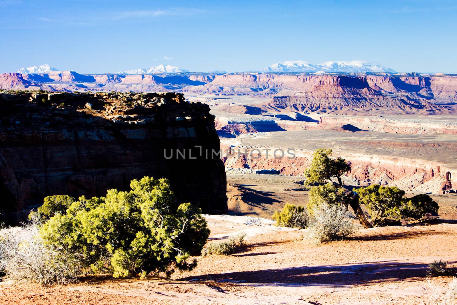 Canyonlands National Park, Utah, USA