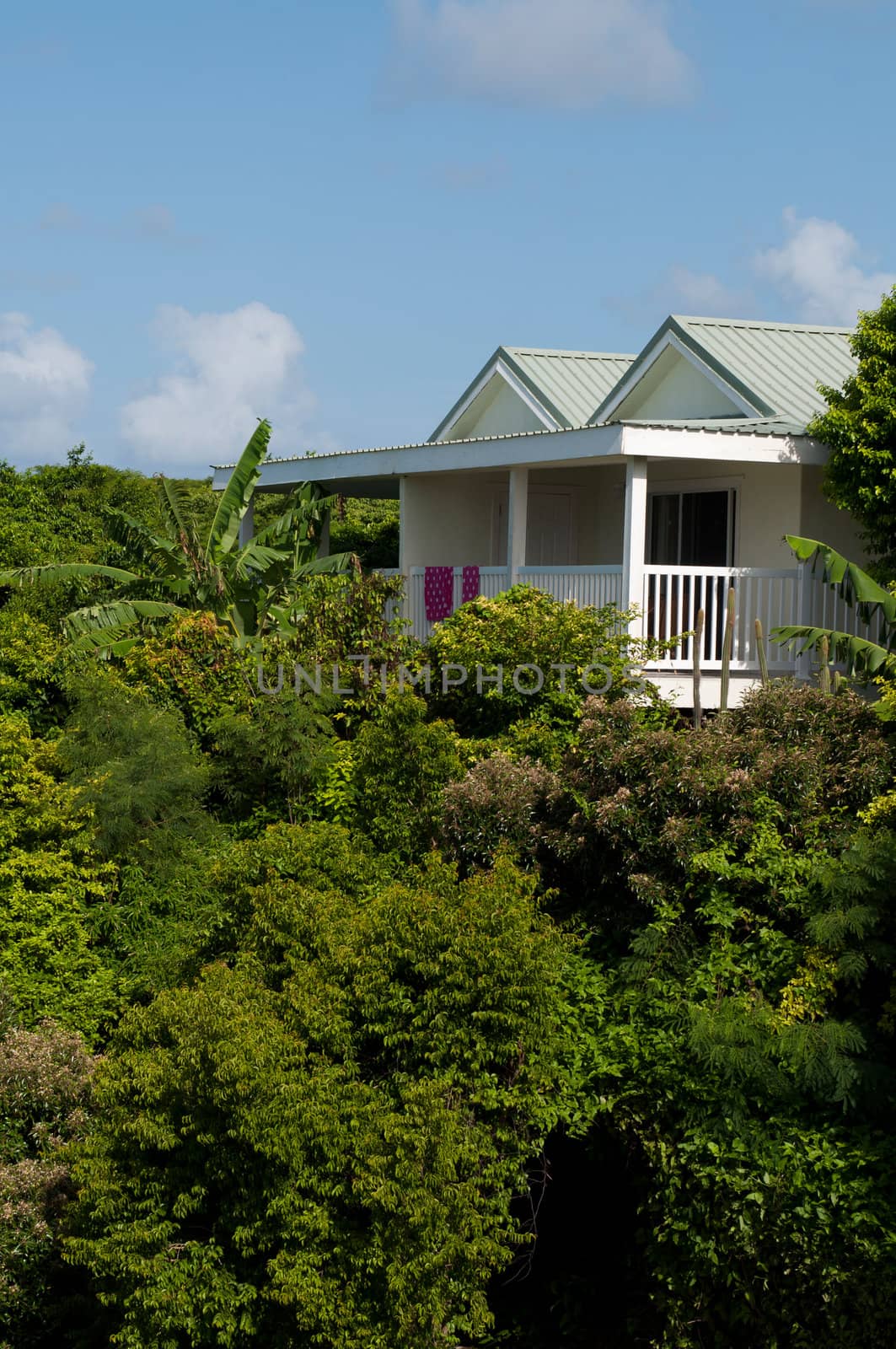 gorgeous villa on luxury resort surrounded by tropical nature, Antigua