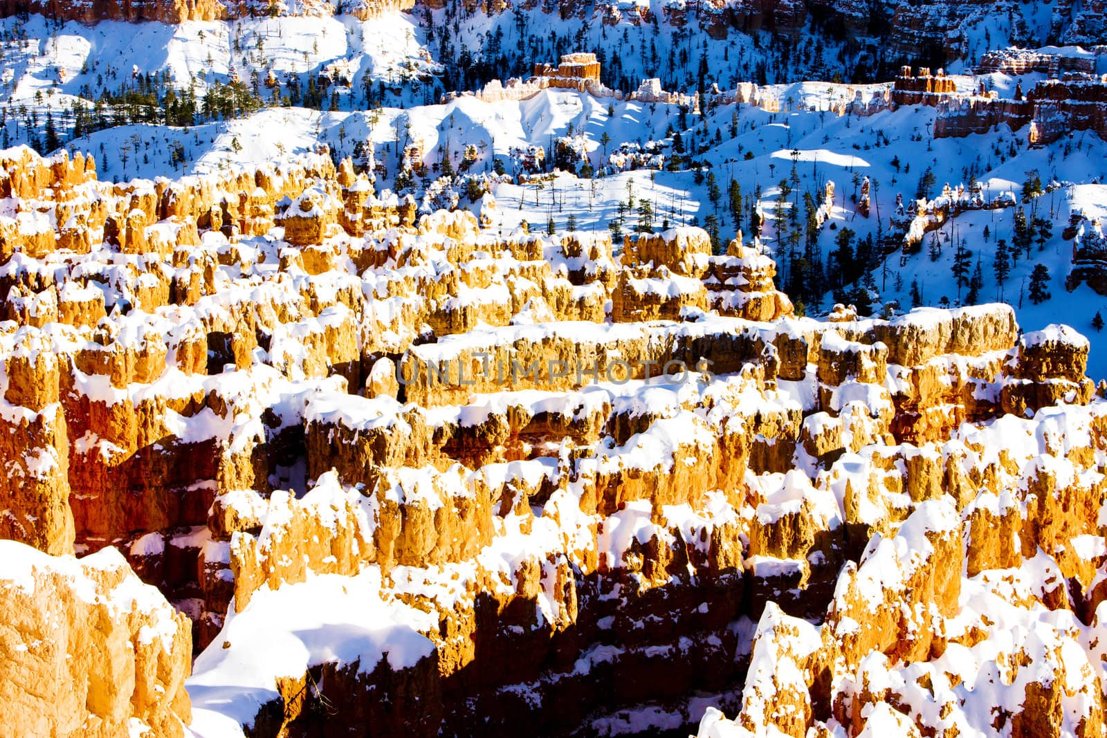 Bryce Canyon National Park in winter, Utah, USA