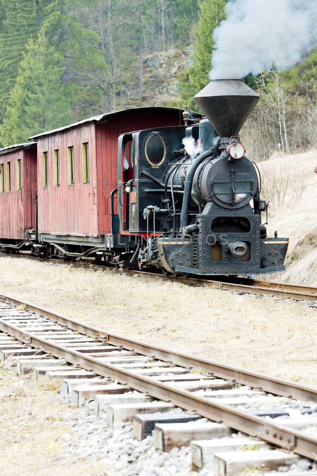 steam train, Ciernohronska Railway, Slovakia