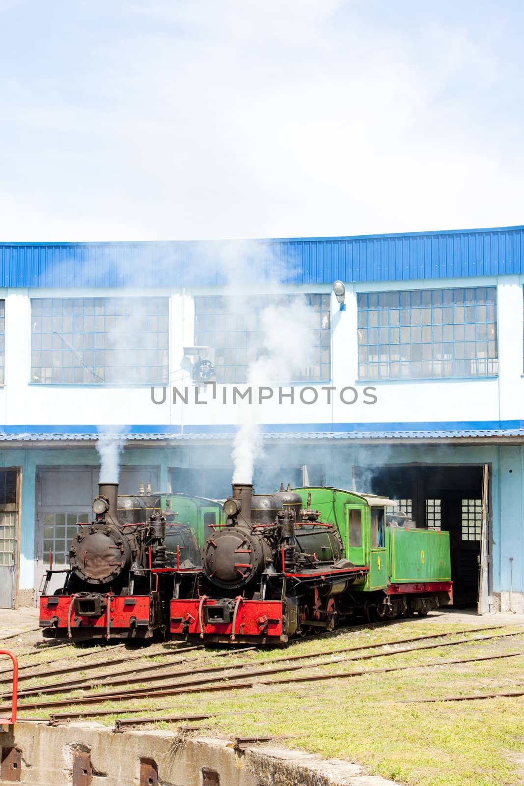 steam locomotives in depot, Kostolac, Serbia