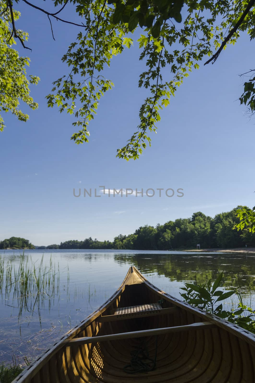 Morning light on a canoe on the northern lake shoreline