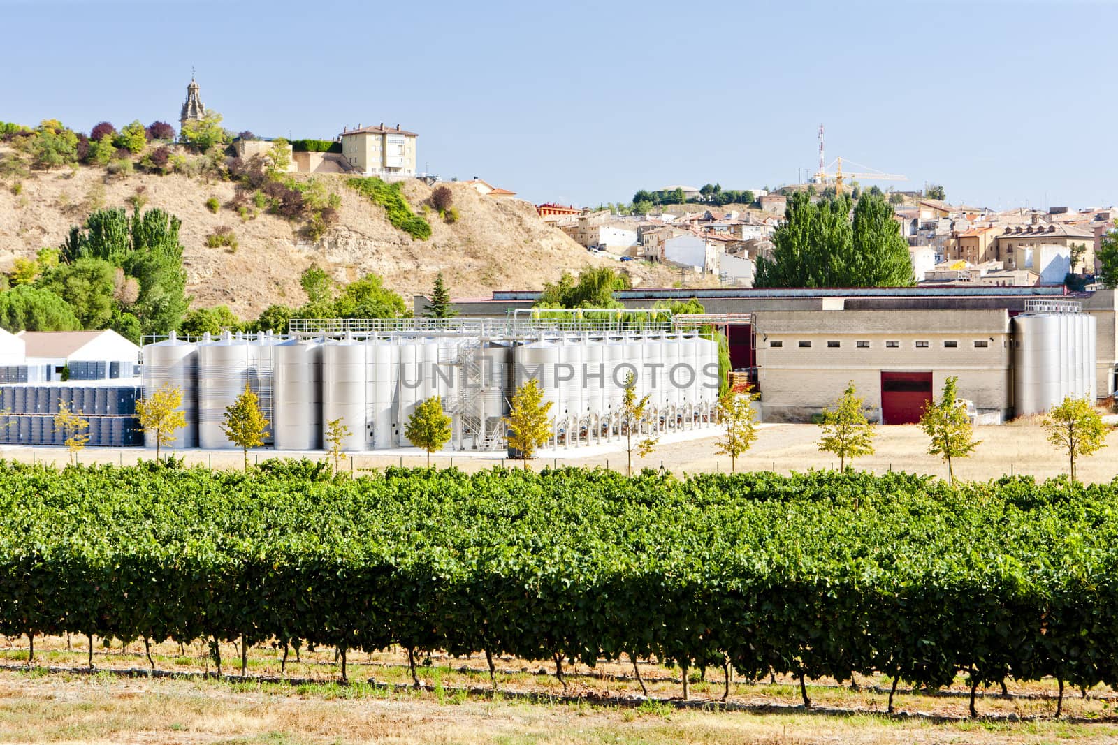 winery in La Rioja, Spain