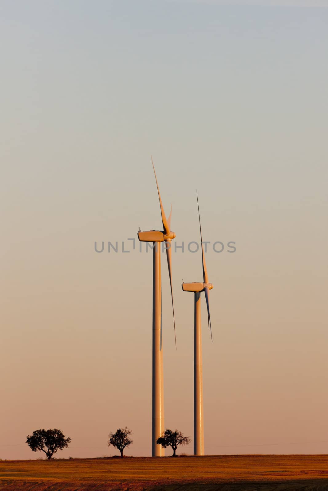 wind turbines, Castile and Leon, Spain