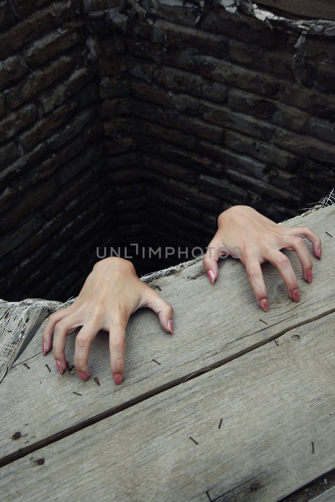 Hands with good manicure of the woman in the deep rural reservoir