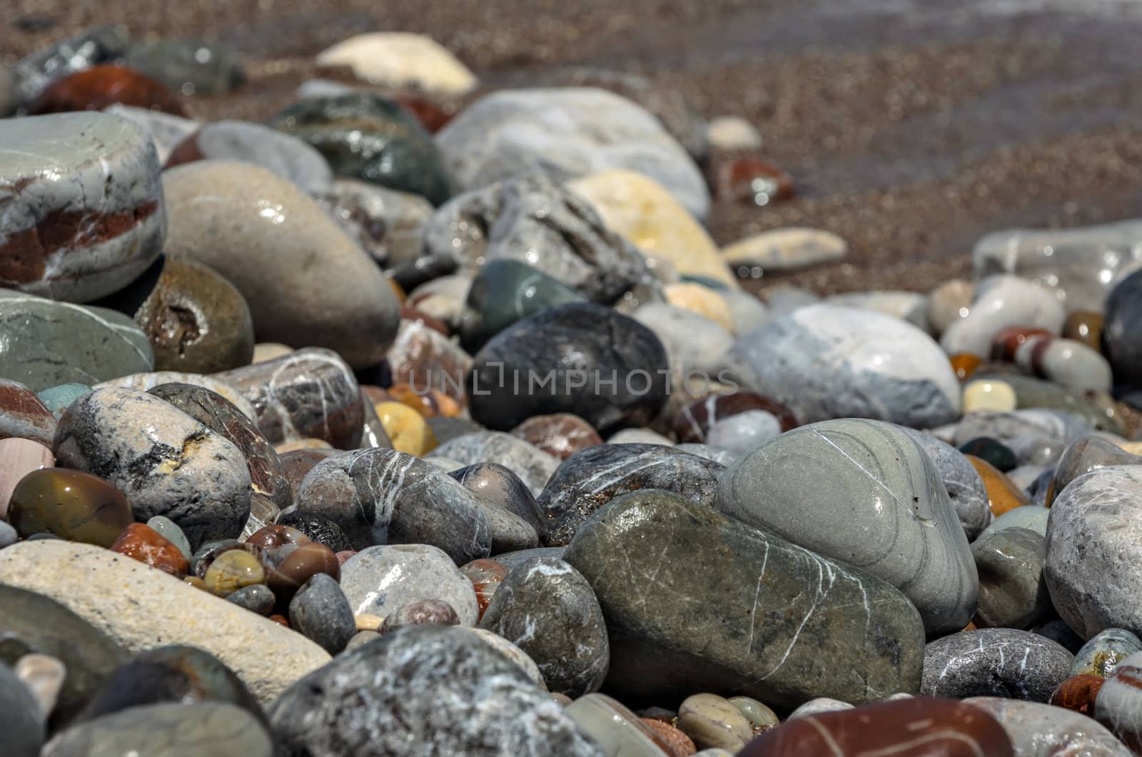 Closeup view of wet beach pebble with shallow DOF