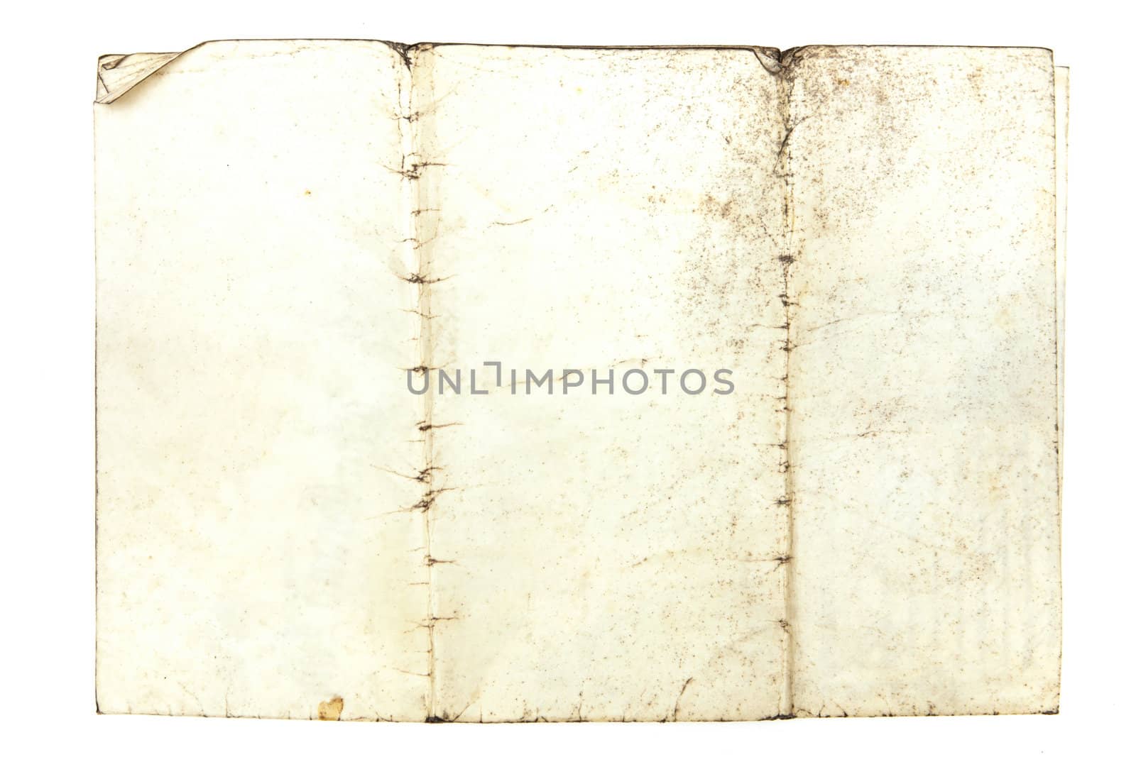 Grungy paper isolated on white with folds