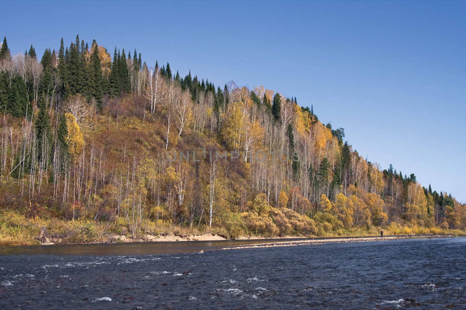 The mountain river of "Verhnjaja Ters", the south of Western Siberia