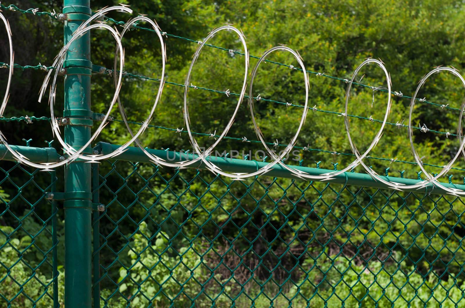 barbed wire and circular razor wire on a green fence (tropical nature background)
