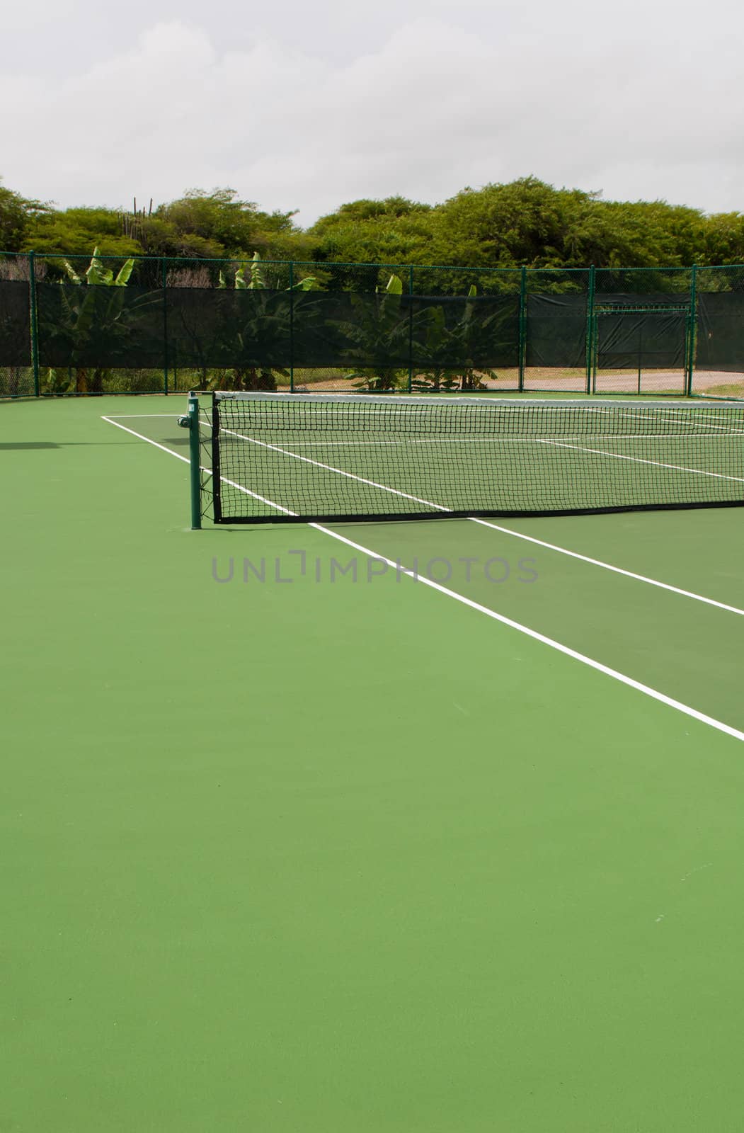 green modern hardcourt tennis (surrounded by tropical nature)