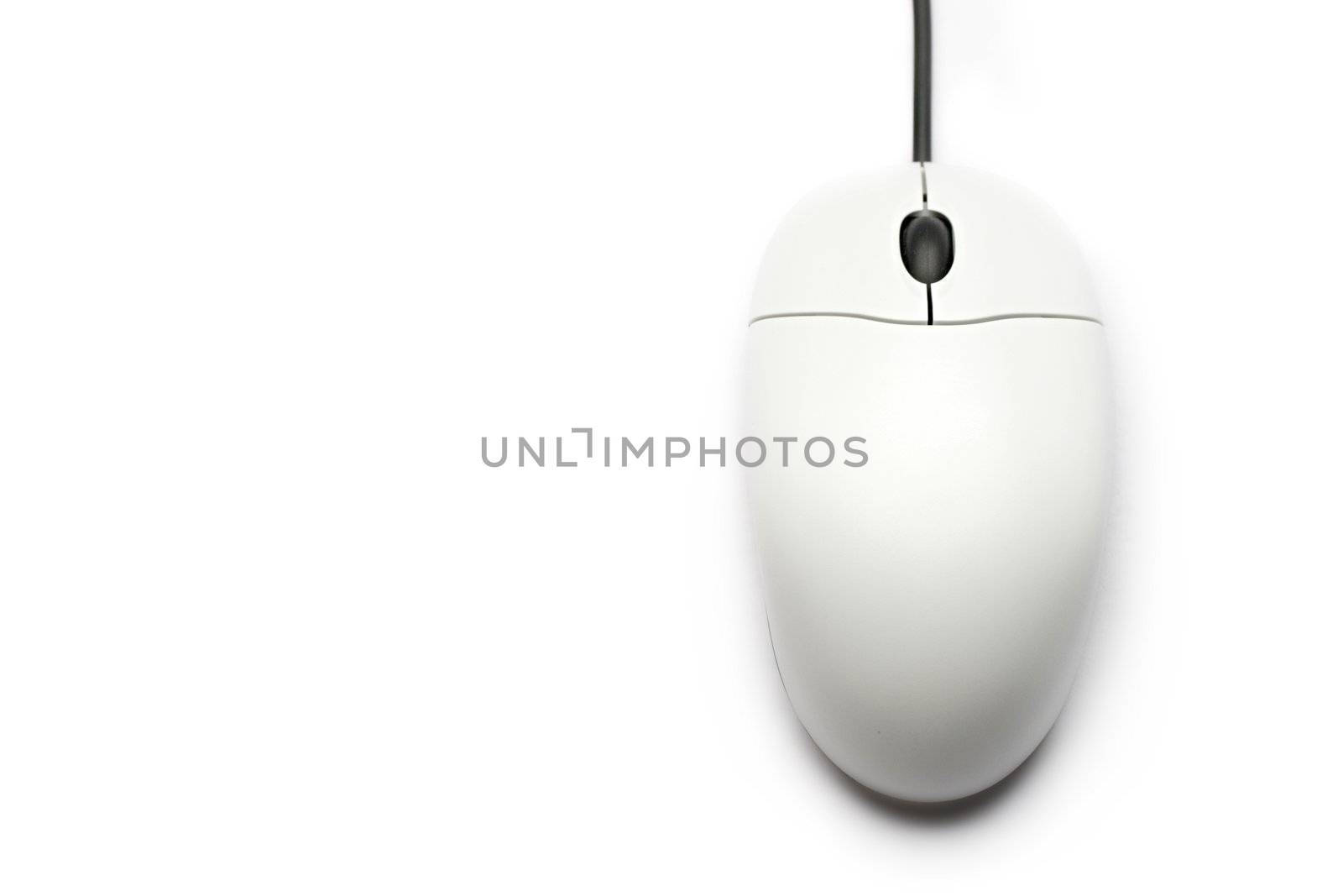 Computer mouse isolated on the white background