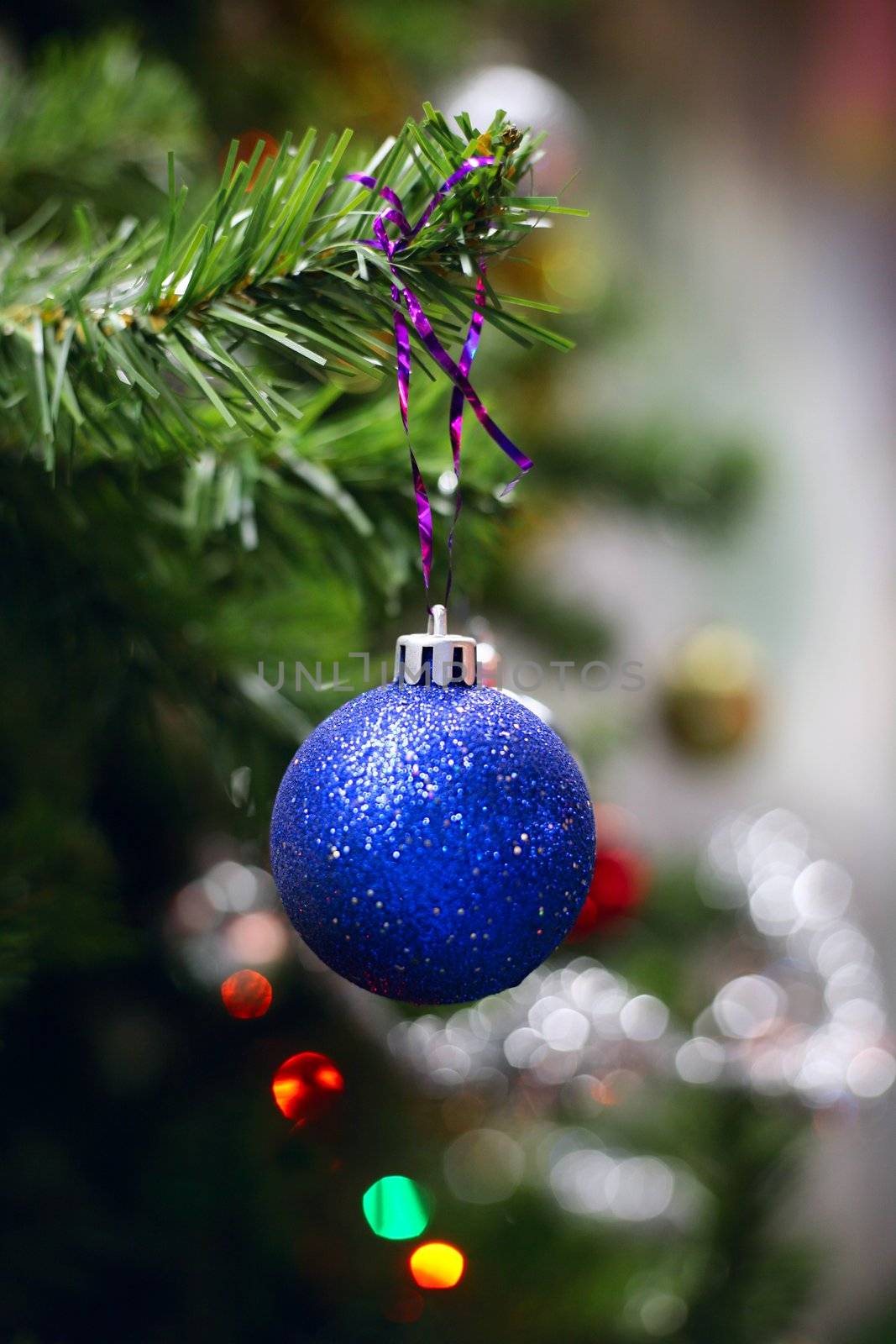 Christmas ornament on a tree of fur. A sphere in sharpness, the rest is dim