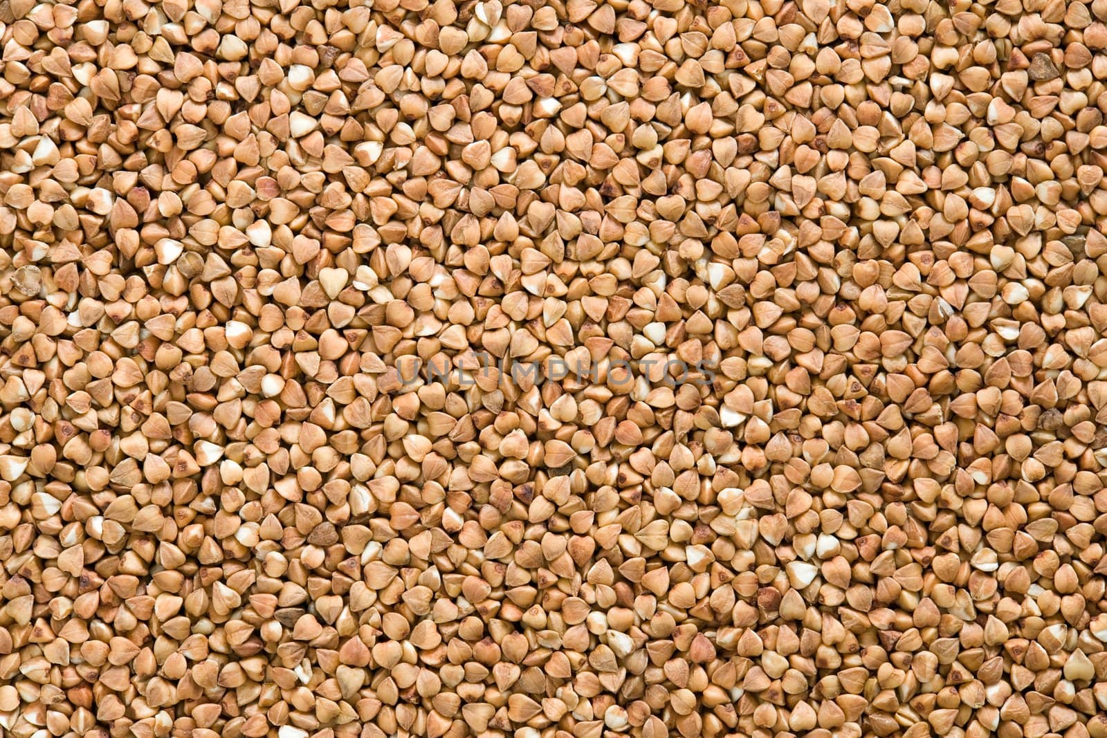 Food background. Buckwheat close up.