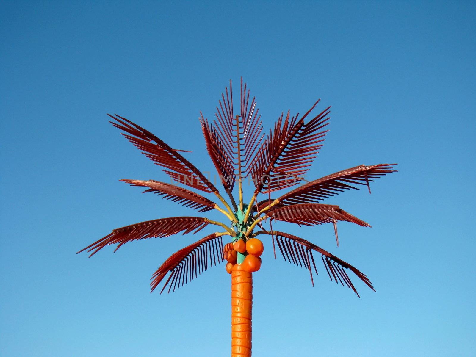 Palm Tree Against Blue Sky by hicster