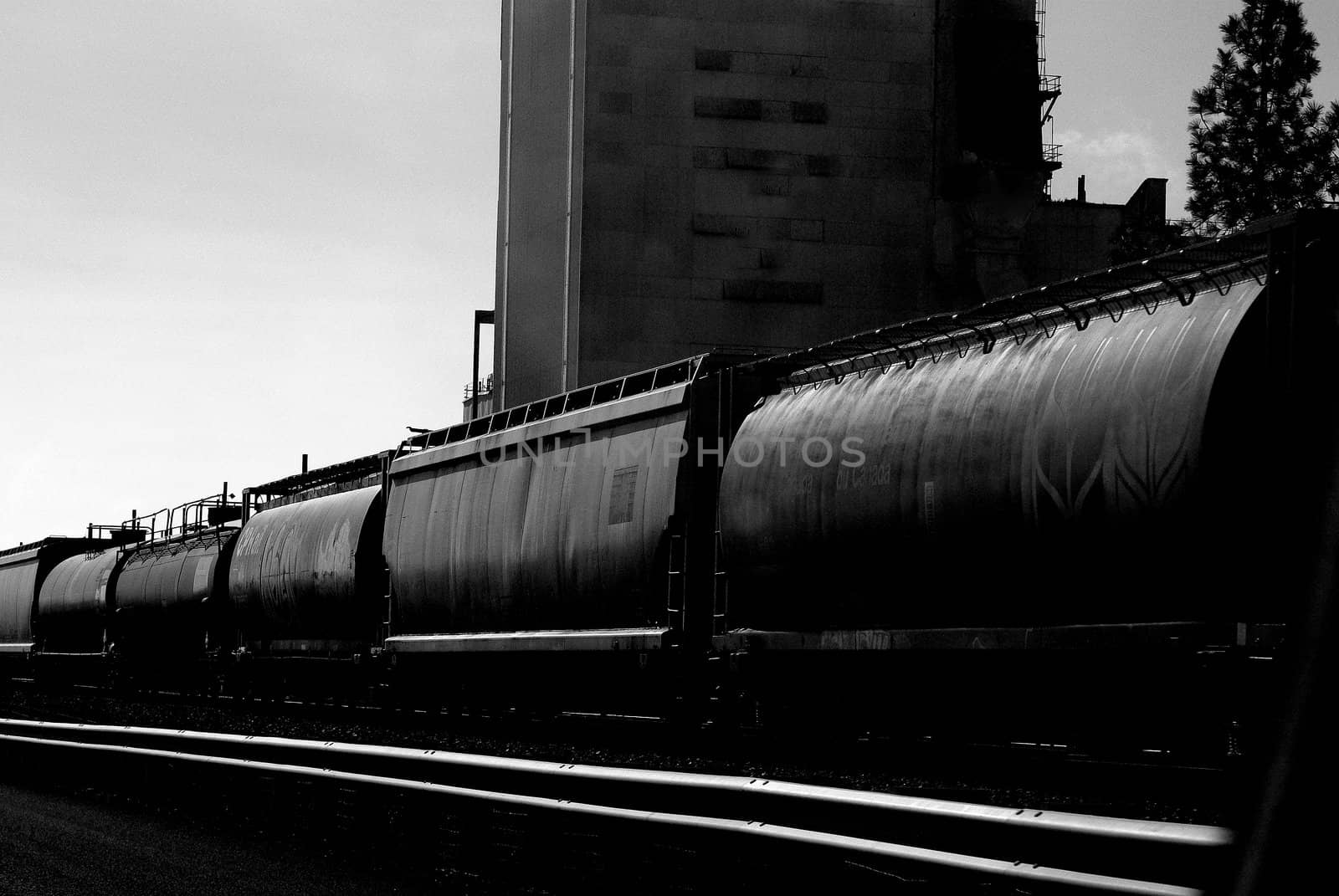black and white photo Tankers on railroad