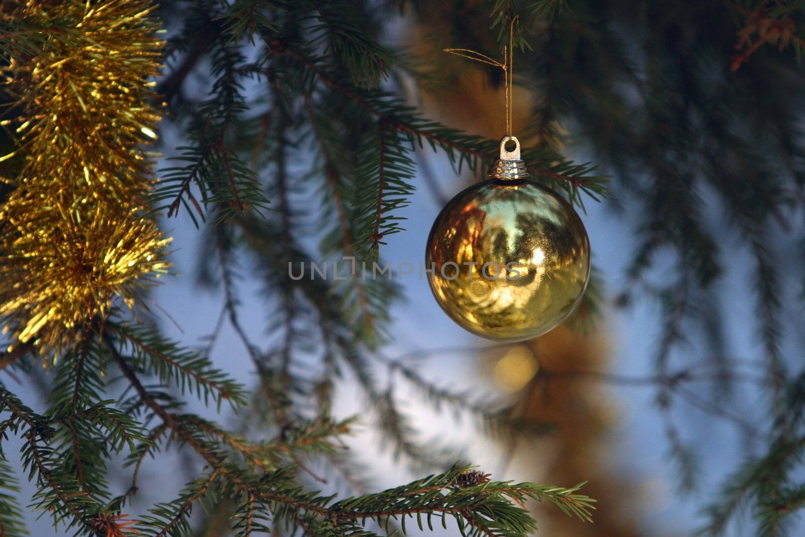 Christmas tree with gold ball