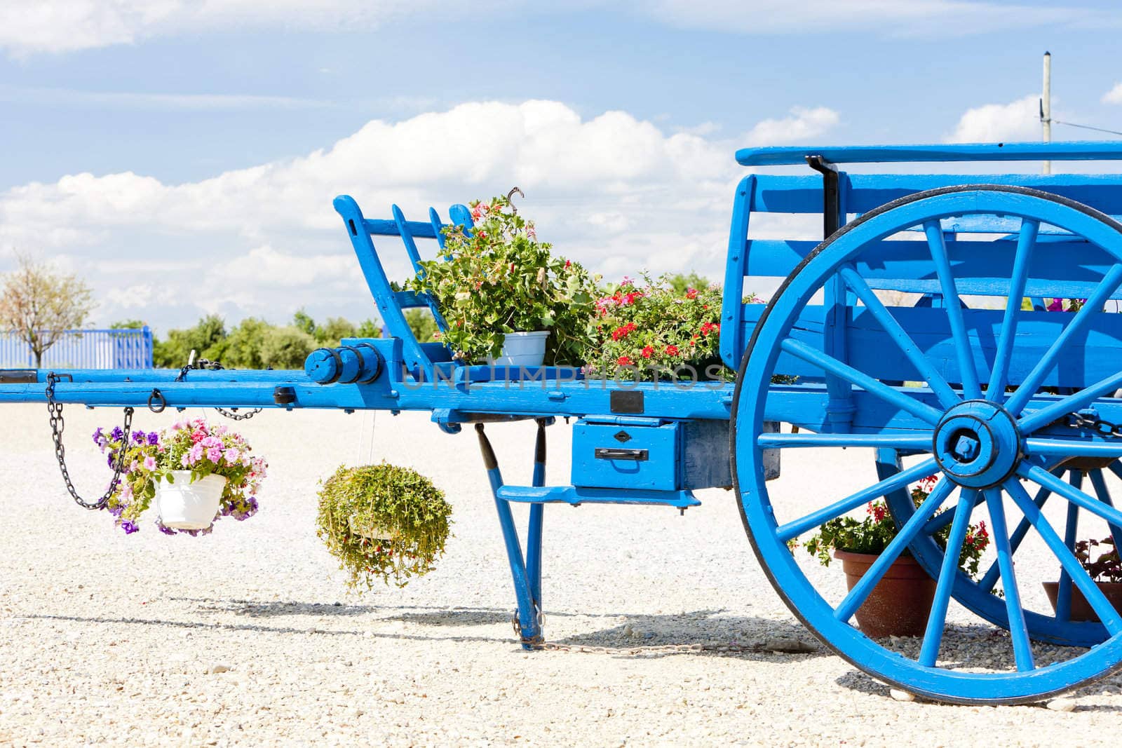 Valensole region, Provence, France