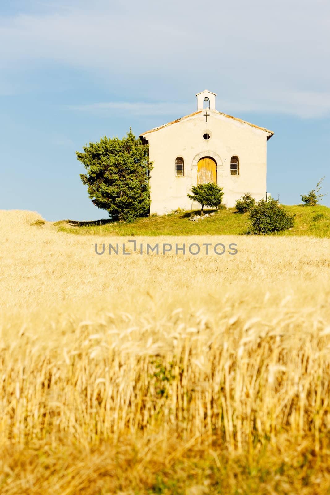 chapel with grain field, Plateau de Valensole, Provence, France
