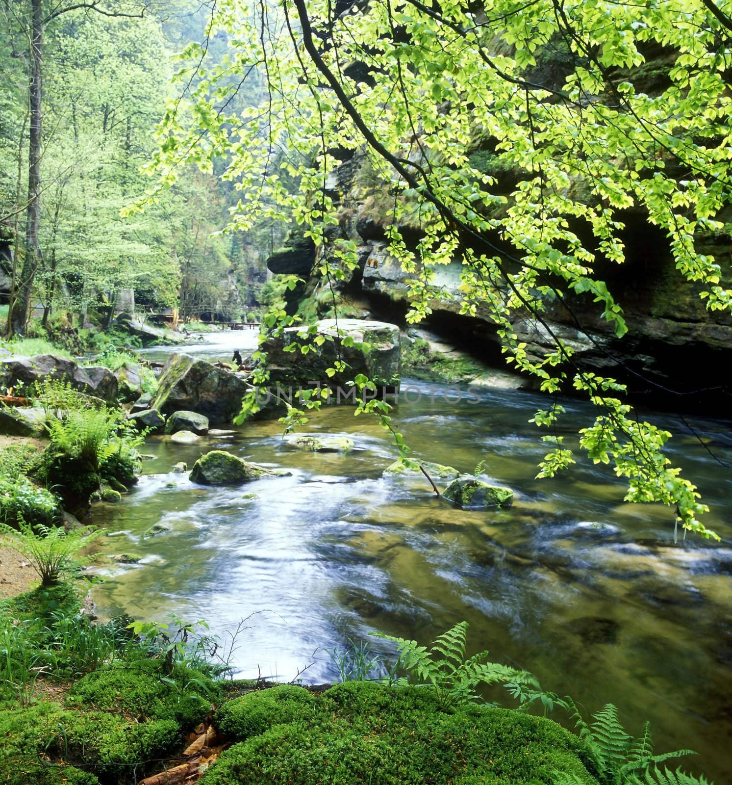 Kamenice river, Ceskosaske Svycarsko, Czech Republic