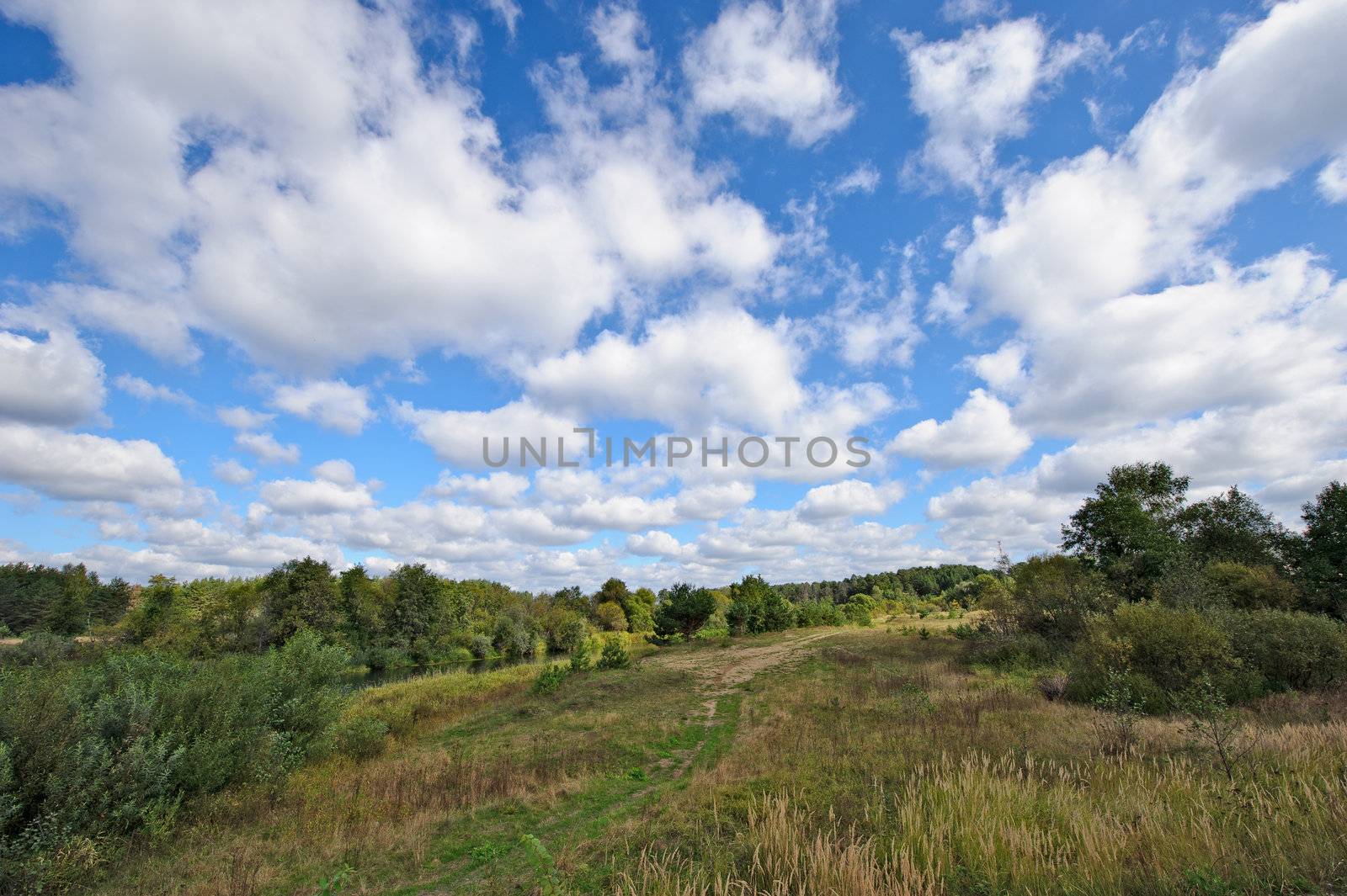 Summer rural landscape with cloudy sky