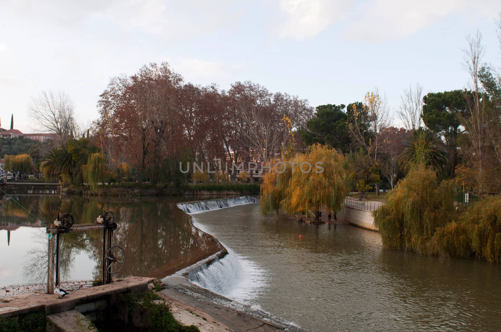 gorgeous Nab�o river surrounded by trees in the city of Tomar, Portugal