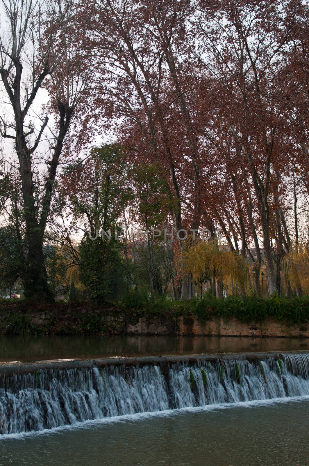 gorgeous Nab�o riverbank surrounded by trees in the city of Tomar, Portugal