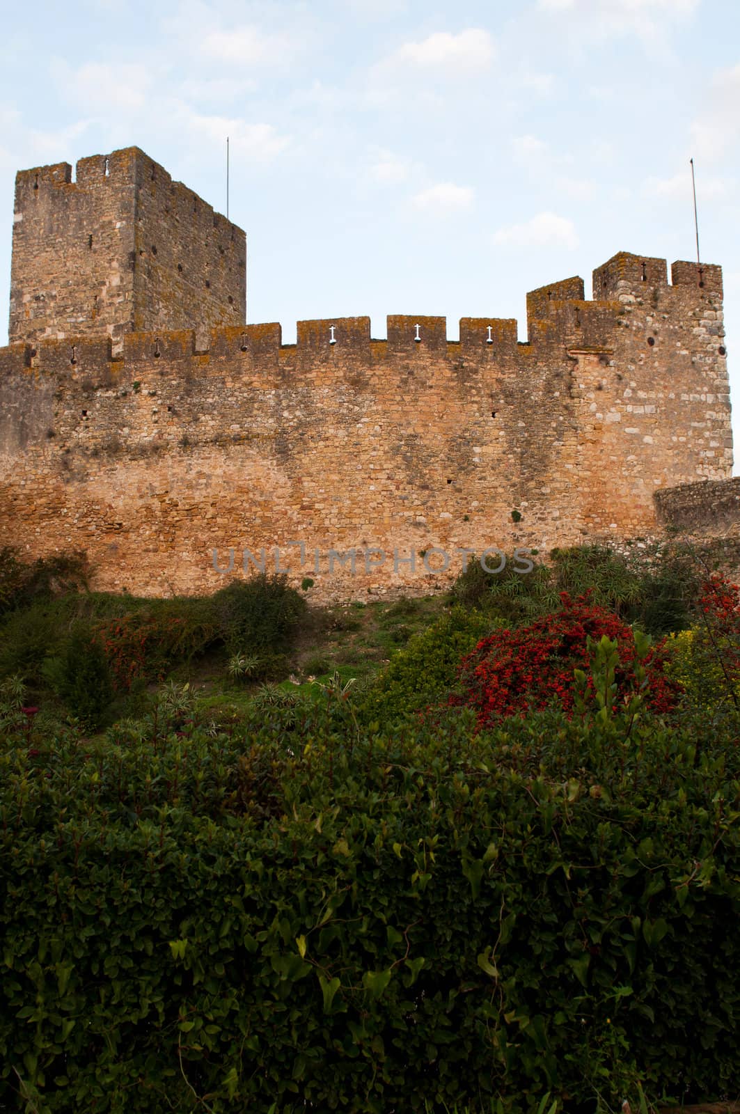 Templar Castle fortress by luissantos84
