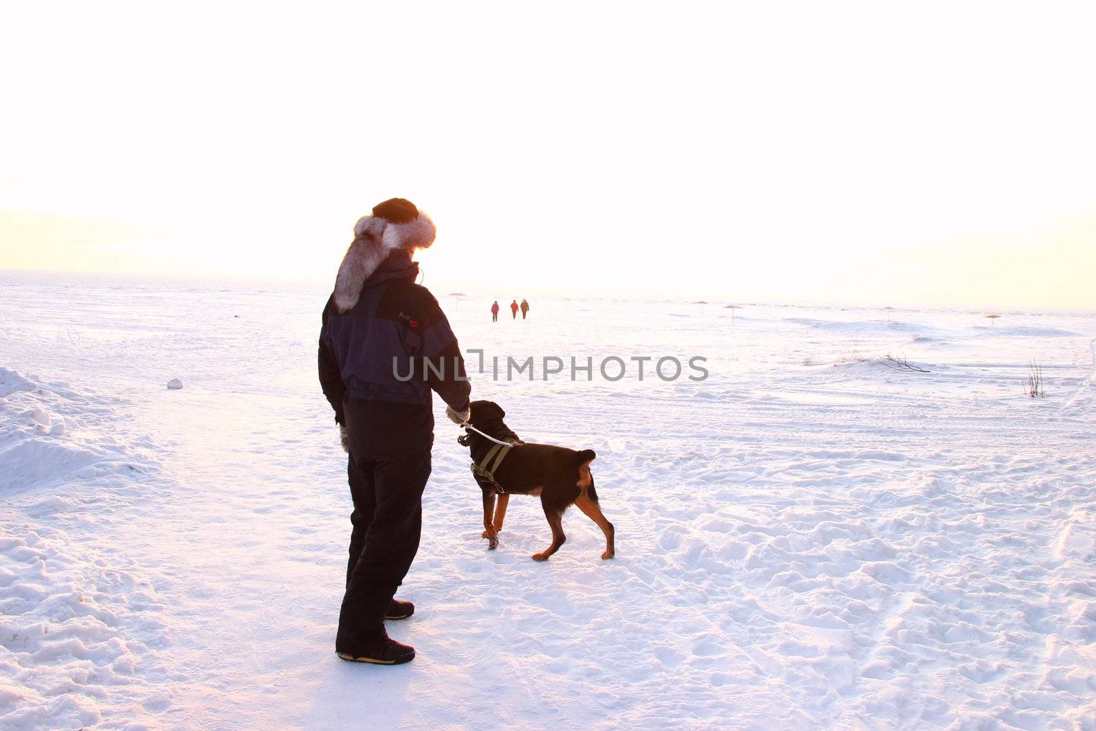 Men with rottweiler. beautiful sunset by Metanna