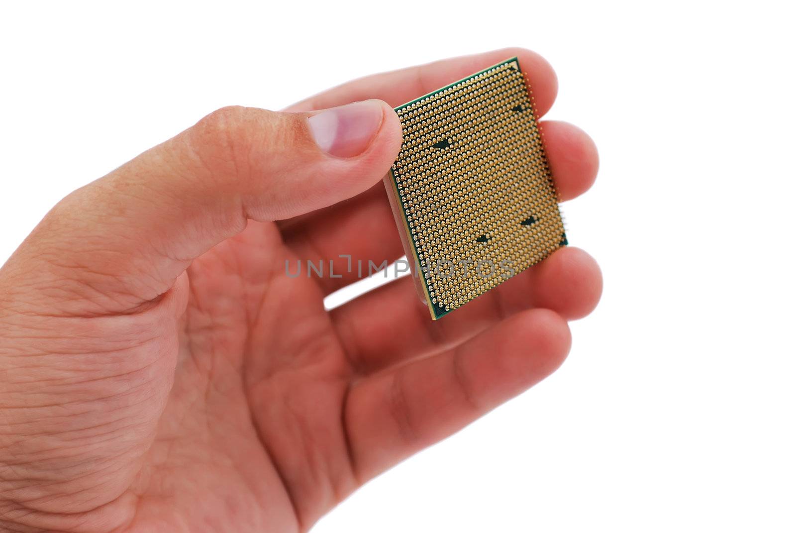 processor in hand on a white background