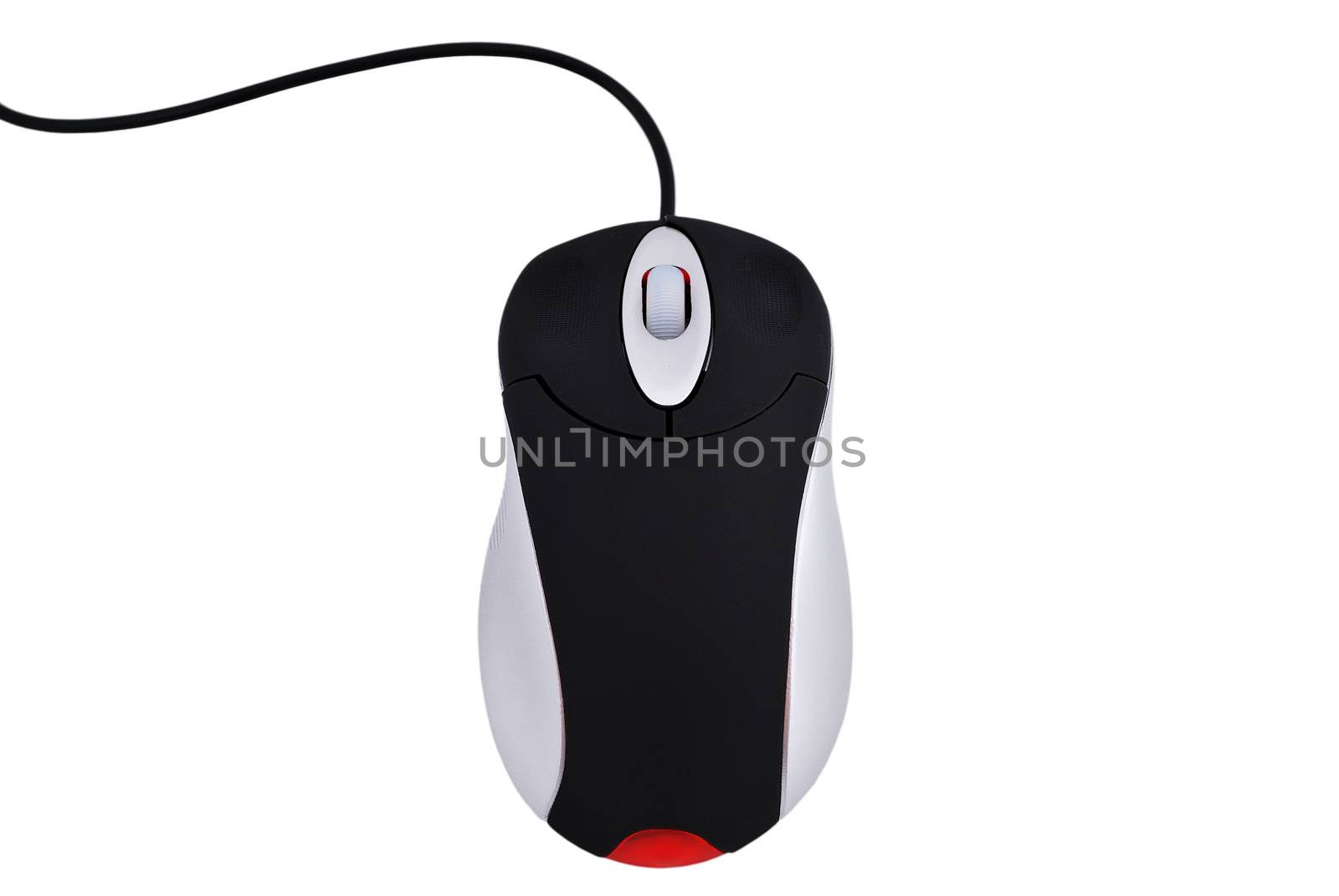 computer mouse by vetkit