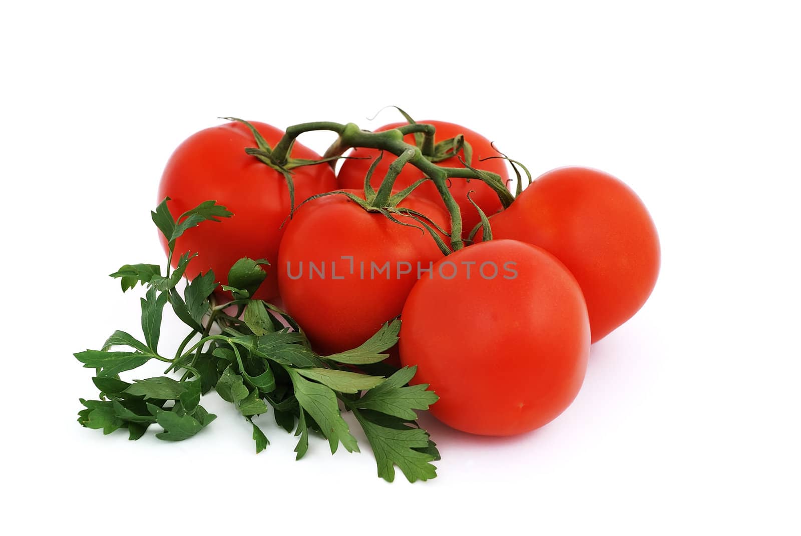 bunch of tomato and parsley on a white background
