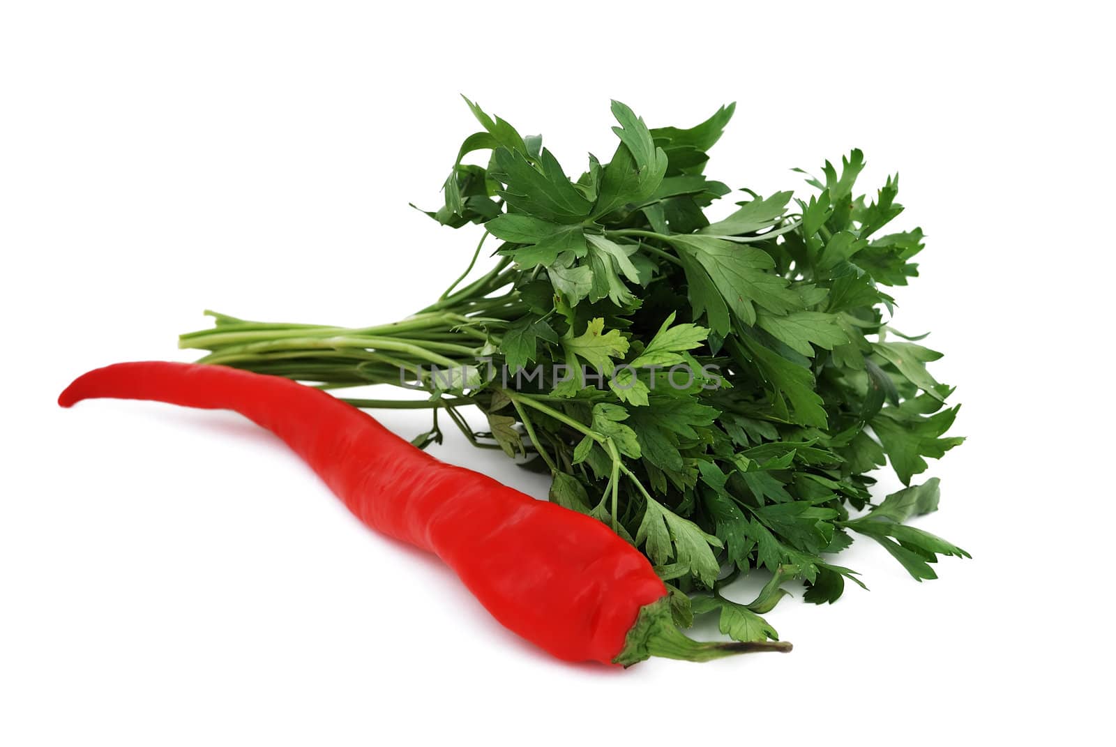 pepper and parsley on a white background
