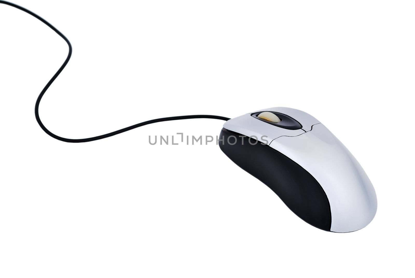 computer mouse on white background