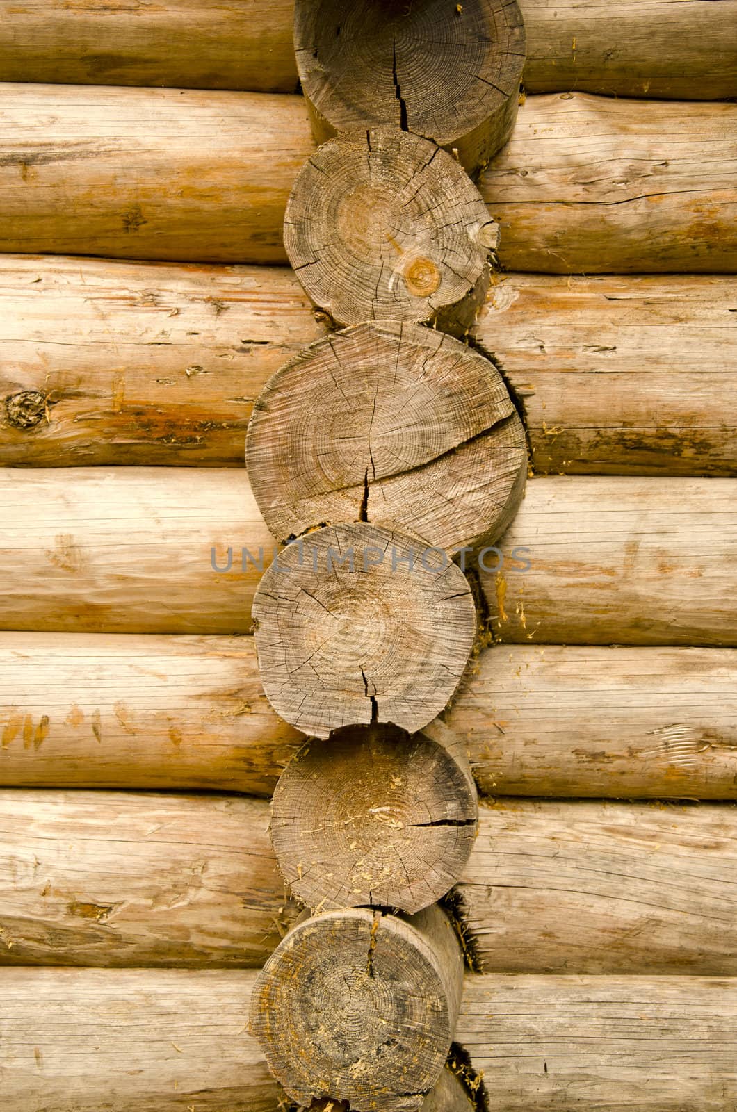 Log wooden house made of tree trunk wall closeup backdrop background