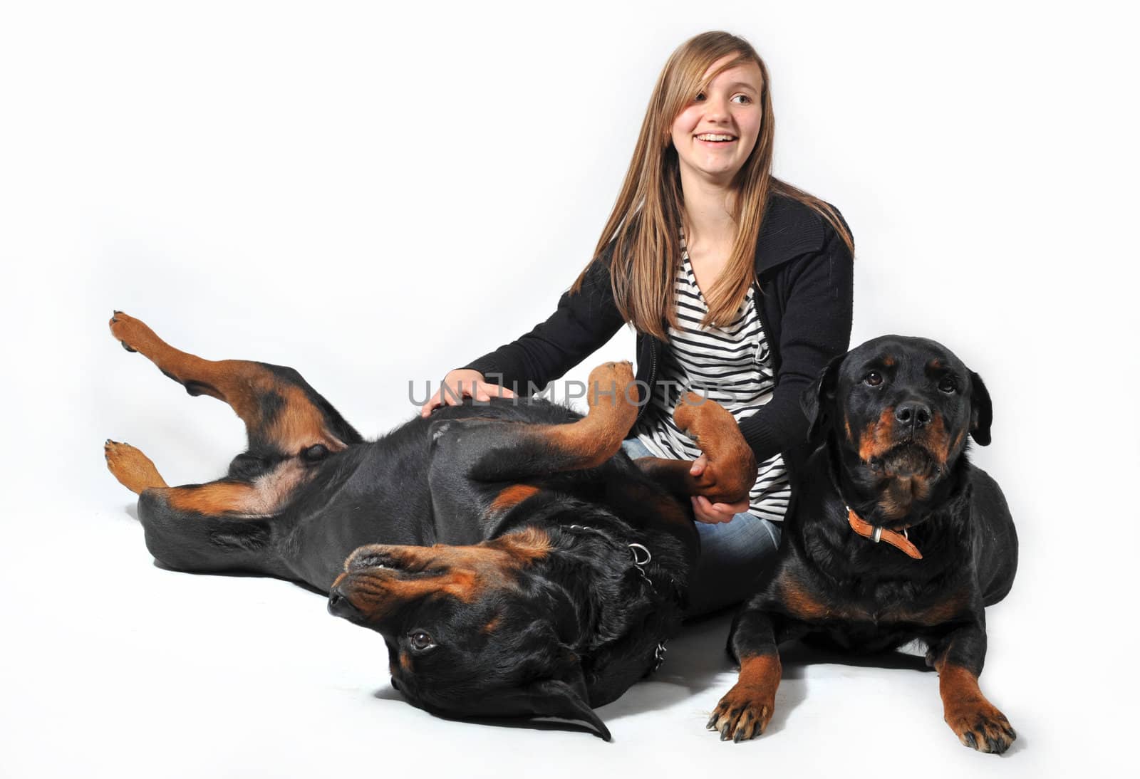 young teenager and her two  dogs purebred rottweilers